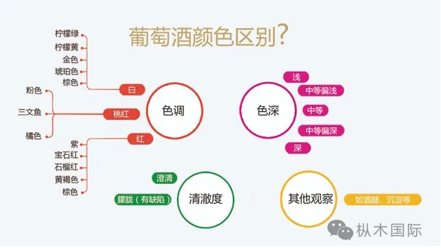 如何觀葡萄酒顏色？.jpg